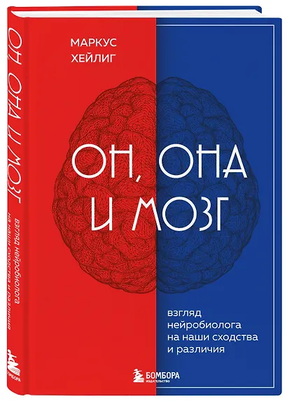 Он, она и мозг: взгляд нейробиолога на наши сходства и различия - фото 3