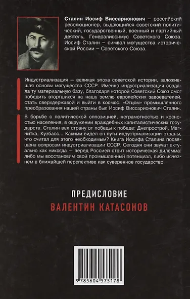 Советская индустриализация. Рецепт величия России. Предисловие В.Ю. Катасонова - фото 2