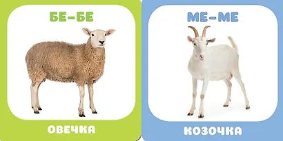 Малышарики. Курс раннего развития 0+. Домашние животные - фото 2