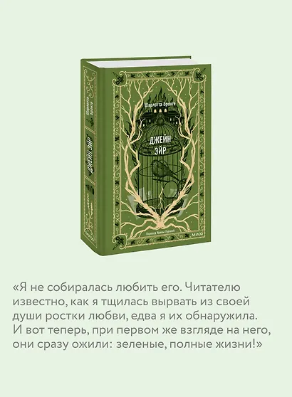 Джейн Эйр. Вечные истории - фото 6