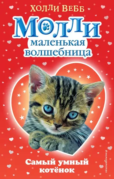 Самый умный котёнок - фото 1