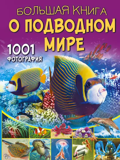 Большая книга о подводном мире. 1001 фотография - фото 1