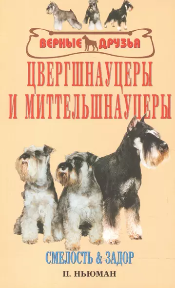 Цвергшнауцеры и миттельшнауцеры. Смелость и задор. - фото 1