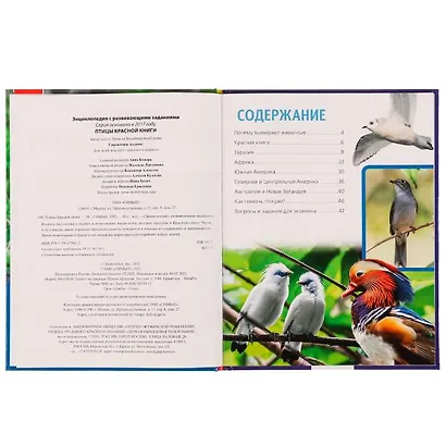 Птицы Красной книги - фото 2