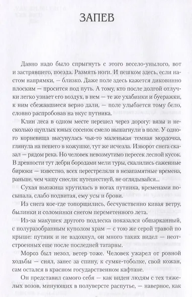 Смутьян-царевич - фото 4