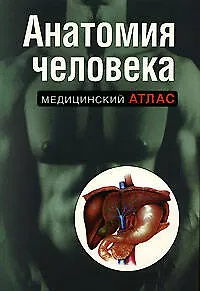 Анатомия человека - фото 1