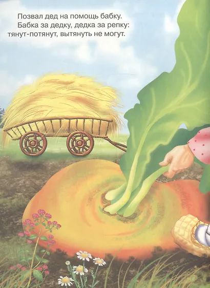 Репка (мВКнМ) - фото 4