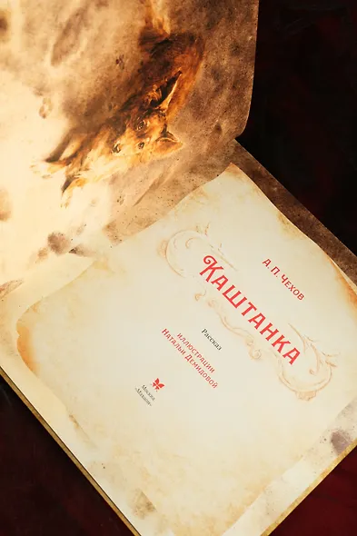 Каштанка - фото 10