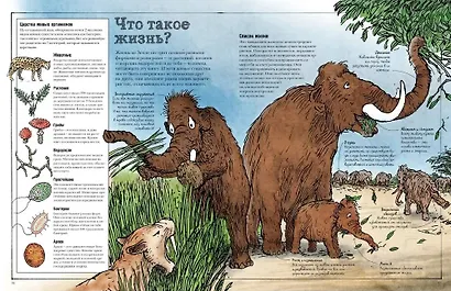 Как все устроено - фото 11