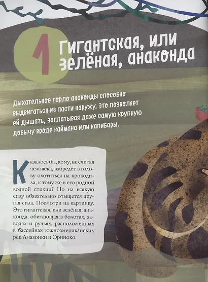 Змеи. Великолепная десятка - фото 4