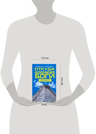 Откуда прилетели боги - фото 2
