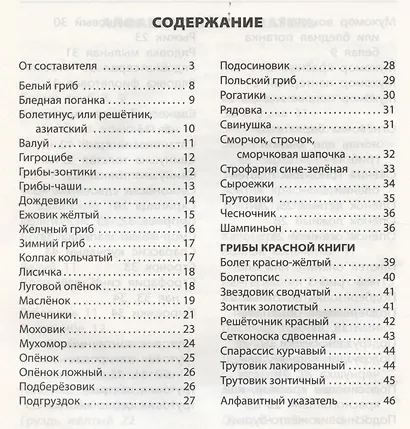 Грибы: съедобные и несъедобные - фото 2