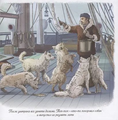 Фрам. Корабль, который выжил - фото 5