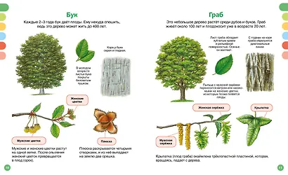 Жизнь леса - фото 13