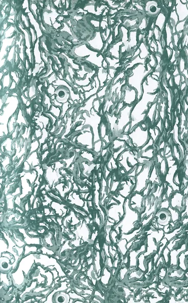 Пять глаз, смотрящих в никуда - фото 3