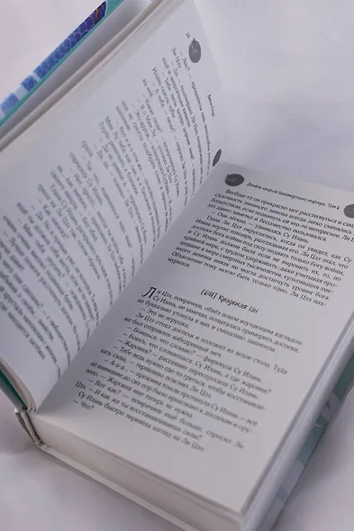 Девять хвостов бессмертного мастера. Том 6 - фото 12