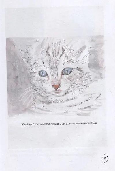 Приключения на Севере - фото 4