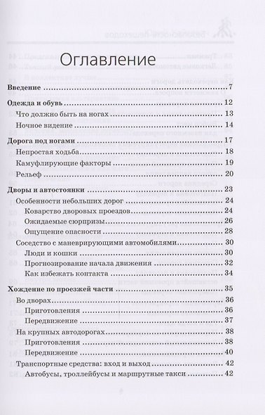 Безопасность пешеходов - фото 2
