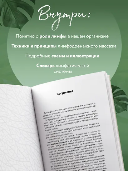 Живая лимфа. Техники лимфодренажного самомассажа для укрепления иммунитета и всех систем организма - фото 5
