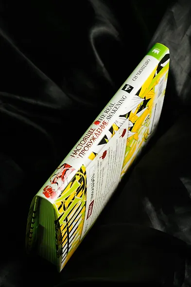 Настоящее пробуждение. Real Awakening. Книга 4 - фото 7