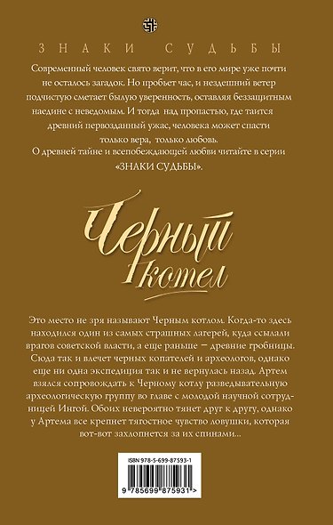 Черный котел - фото 2
