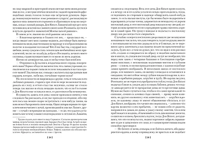 Хитроумный идальго Дон Кихот Ламанчский - фото 12