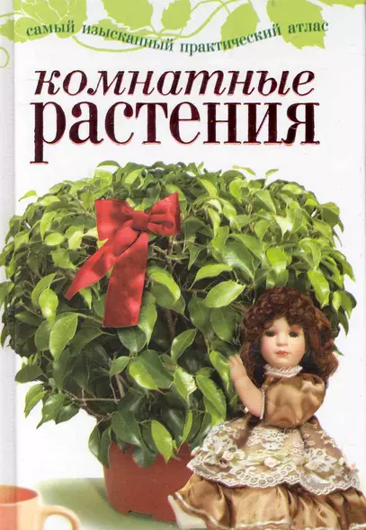 Комнатные растения - фото 1