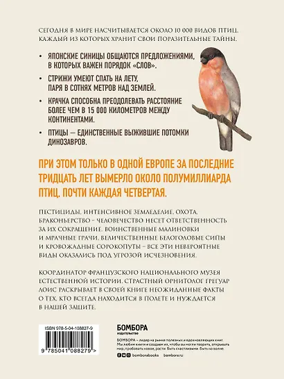 О чем поют птицы. Записки орнитолога о самых удивительных созданиях планеты - фото 2