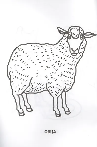 Домашние животные (супер-раскраска раскраска для маленьких, 32 картинки) - фото 5