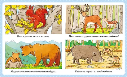 Животные - фото 4