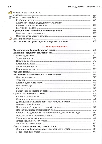 Руководство по кинезиологии. Функциональная анатомия. Биомеханика. Оценка состояния суставов и мышц - фото 5