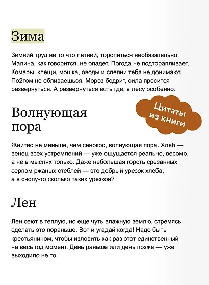Лад. Повседневная жизнь Русского Севера - фото 7
