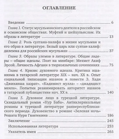 Человек на минбаре. Образ мусульманского лидера в татарской и турецкой литературах (конец XIX - первая треть XX в.) - фото 2