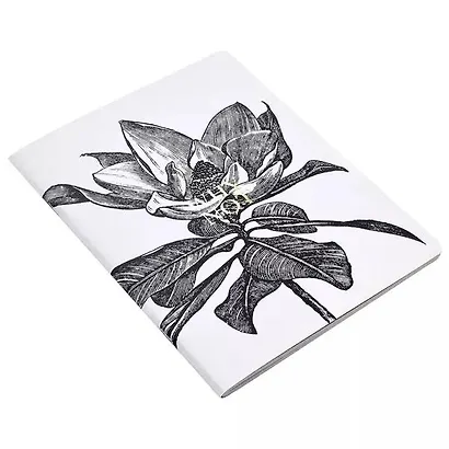 Тетрадь в клетку Be Smart, Aesthetics, А4, 40 листов - фото 3