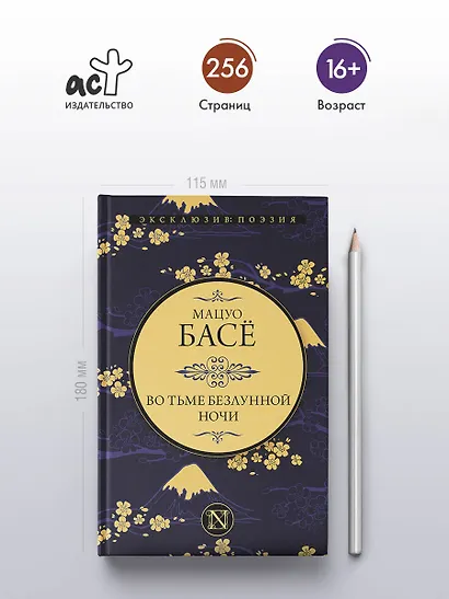 Во тьме безлунной ночи - фото 4