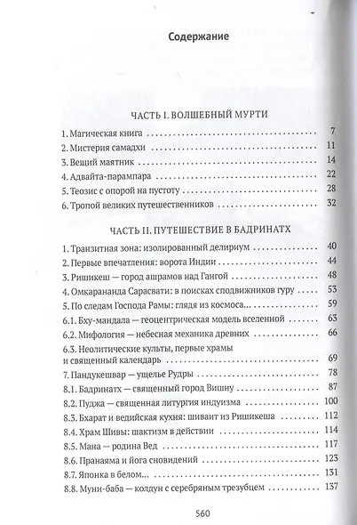 Тайна черного мурти, или У истоков адвайты - фото 3