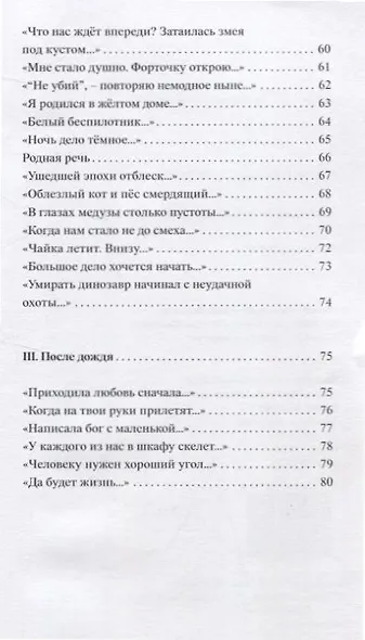 Хроника дождливого вечера. Стихотворения - фото 5