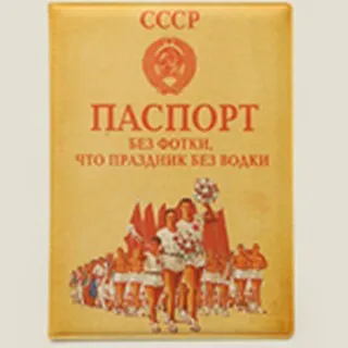 Обложка на паспорт Паспорт без фотки (Се-00015) - фото 1