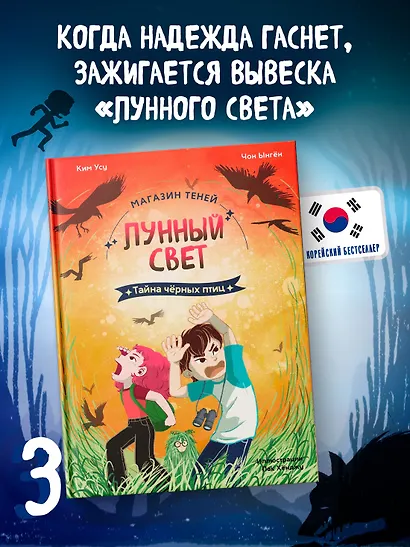 Магазин теней «Лунный свет». Книга 3. Тайна чёрных птиц - фото 3