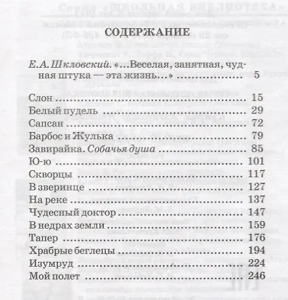 Белый пудель - фото 2