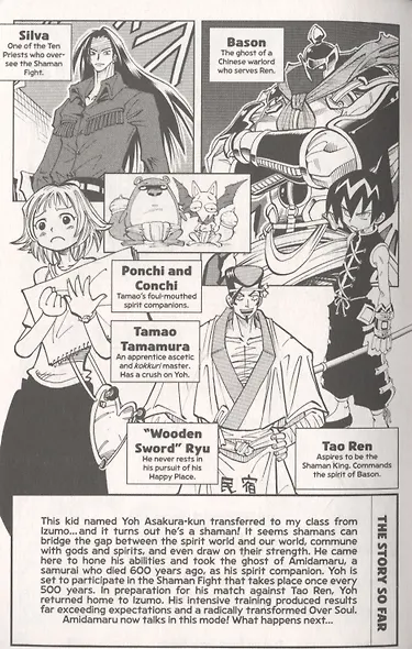 Shaman King Omnibus 3 - фото 2