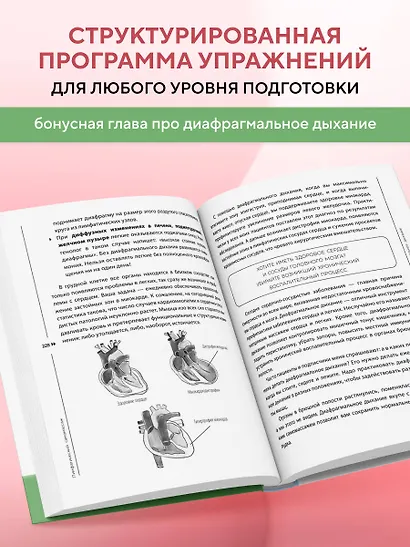 Лимфатический самомассаж. Практики, которые избавят вас от отечности, чувства тяжести и нормализуют пищеварение - фото 8