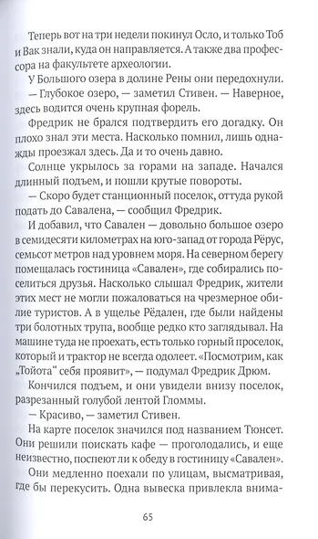 Гренландская кукла. Роман - фото 7