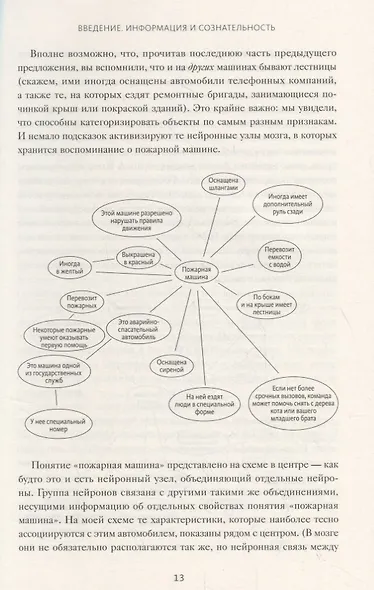 Организованный ум. Как мыслить и принимать решения в эпоху информационной перегрузки - фото 5