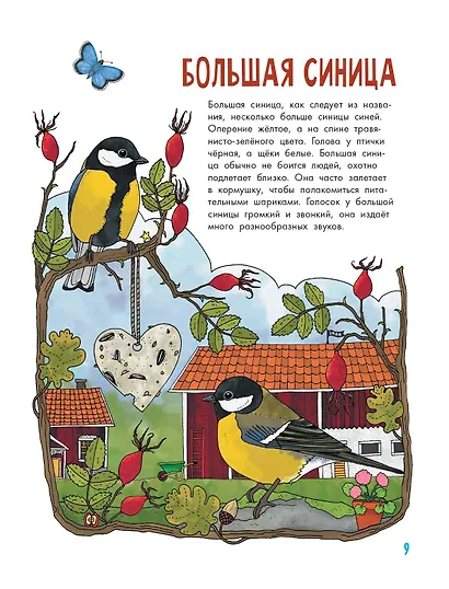 Птицы - фото 13