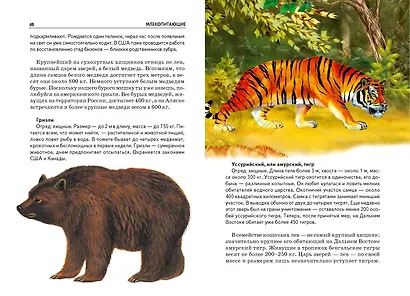 Млекопитающие. Узнай мир - фото 6