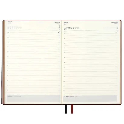 Ежедневник недат. А5+ 160л 175*245 "Шеврет" черный, кожзам, мягк.переплет, блинтовое тиснение, офсет, ляссе - фото 7