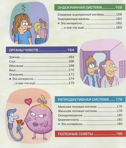 Энциклопедия человека. Как устроено наше тело - фото 6