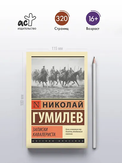 Записки кавалериста - фото 4