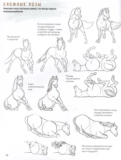 Создаем наброски лошадей шаг за шагом. 50 проектов с подробными объяснениями и рисунками (зеленая обложка) - фото 5